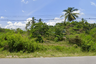Land for sale in Sichon, Nakhon Si Thammarat