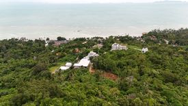 Land for sale in Ang Thong, Surat Thani
