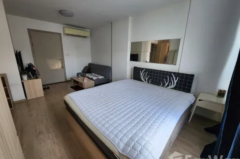 Condo for rent in Elio Del Ray, Bang Chak, Bangkok near BTS Punnawithi