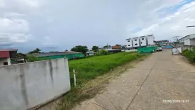 Land for sale in San Pu Loei, Chiang Mai