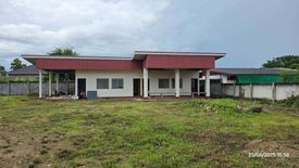 Land for sale in San Pu Loei, Chiang Mai