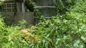 Land for sale in Phraek Sa Mai, Samut Prakan