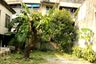 Land for sale in Bang Sue, Bangkok near MRT Bang Son