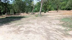 Land for sale in Ratsada, Phuket