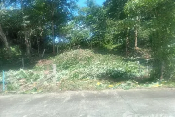 Land for sale in Thep Krasatti, Phuket