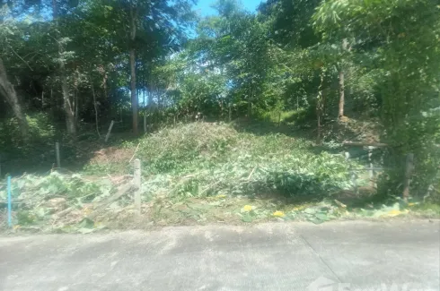 Land for sale in Thep Krasatti, Phuket
