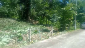 Land for sale in Thep Krasatti, Phuket