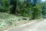 Land for sale in Thep Krasatti, Phuket