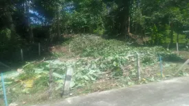 Land for sale in Thep Krasatti, Phuket