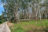 Land for sale in Mai Khao, Phuket