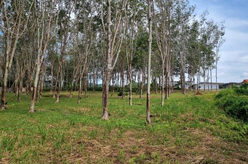 Land for sale in Mai Khao, Phuket