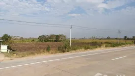 Land for sale in Tanot, Nakhon Ratchasima