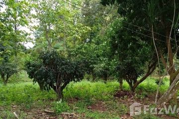 4 Bedroom Townhouse for sale in Nong Bua, Loei