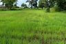 Land for sale in Don Wai, Nakhon Ratchasima