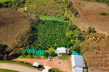 Land for sale in Si Dong Yen, Chiang Mai