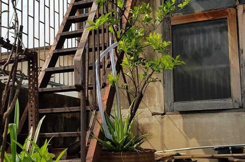 6 Bedroom Commercial for rent in Phra Khanong Nuea, Bangkok near BTS Phra Khanong