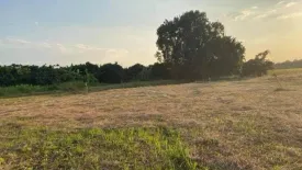 Land for sale in Yu Wa, Chiang Mai