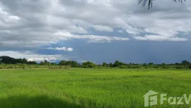 Land for sale in Yu Wa, Chiang Mai