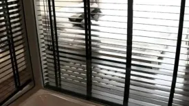 1 Bedroom Condo for rent in Le Luk Condominium, Phra Khanong Nuea, Bangkok near BTS Phra Khanong