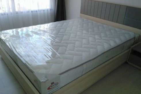 1 Bedroom Condo for rent in The Tree Sukhumvit 64, Bang Chak, Bangkok near BTS Punnawithi