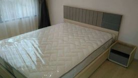 1 Bedroom Condo for rent in The Tree Sukhumvit 64, Bang Chak, Bangkok near BTS Punnawithi