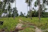 Land for sale in Khanom, Nakhon Si Thammarat