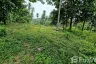 Land for sale in Khanom, Nakhon Si Thammarat