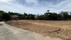 Land for sale in Bo Phut, Surat Thani