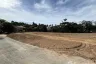 Land for sale in Bo Phut, Surat Thani