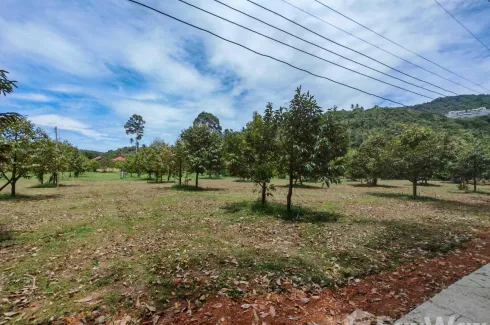 Land for sale in Mae Nam, Surat Thani