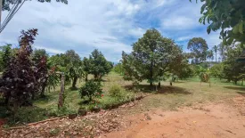 Land for sale in Mae Nam, Surat Thani