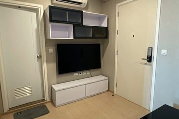 1 Bedroom Condo for rent in The Tree Sukhumvit 71 - Ekamai, Suan Luang, Bangkok near Airport Rail Link Ramkhamhaeng