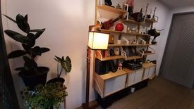 2 Bedroom Condo for rent in Taka Haus Ekamai 12, Khlong Tan Nuea, Bangkok near BTS Ekkamai