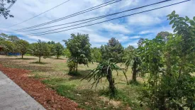 Land for sale in Mae Nam, Surat Thani