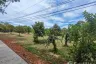 Land for sale in Mae Nam, Surat Thani