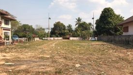 Land for sale in Rop Wiang, Chiang Rai