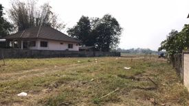 Land for sale in Rop Wiang, Chiang Rai