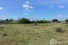Land for sale in Dao Rueang, Saraburi