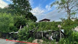 Land for sale in Nong Prue, Chonburi