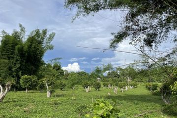Land for sale in Huai Sai, Chiang Mai