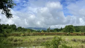 Land for sale in Huai Sai, Chiang Mai