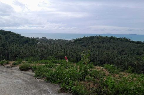 Land for sale in Mae Nam, Surat Thani