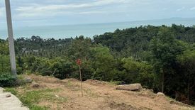 Land for sale in Mae Nam, Surat Thani