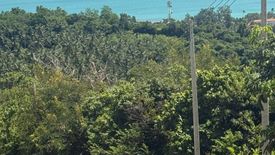 Land for sale in Mae Nam, Surat Thani