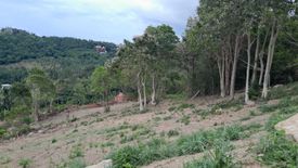 Land for sale in Mae Nam, Surat Thani