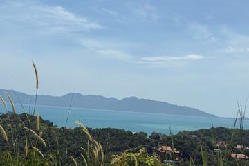 Land for sale in Mae Nam, Surat Thani