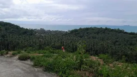 Land for sale in Mae Nam, Surat Thani