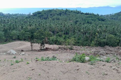 Land for sale in Mae Nam, Surat Thani