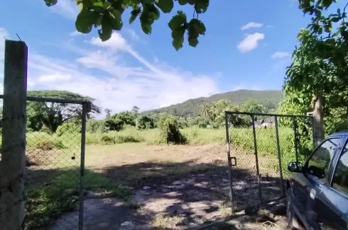 Land for sale in Sai Khao, Chiang Rai