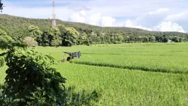 Land for sale in Sai Khao, Chiang Rai